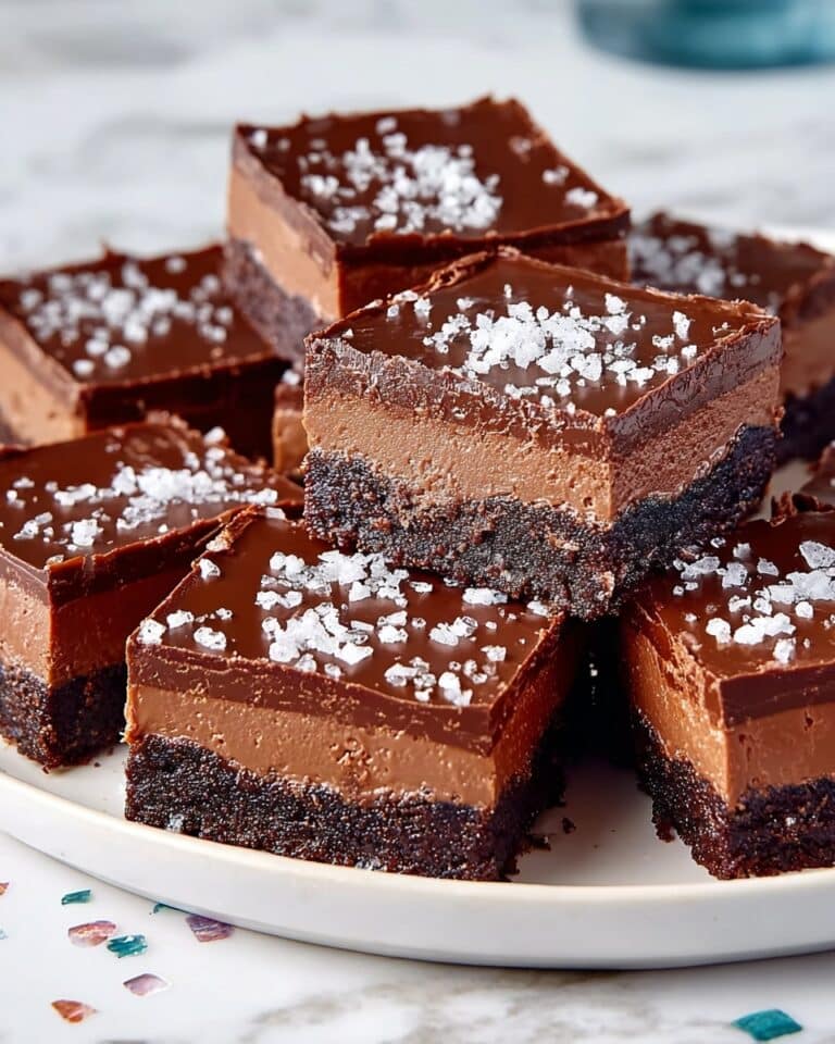 No-Bake Fudgy Chocolate Squares Recipe